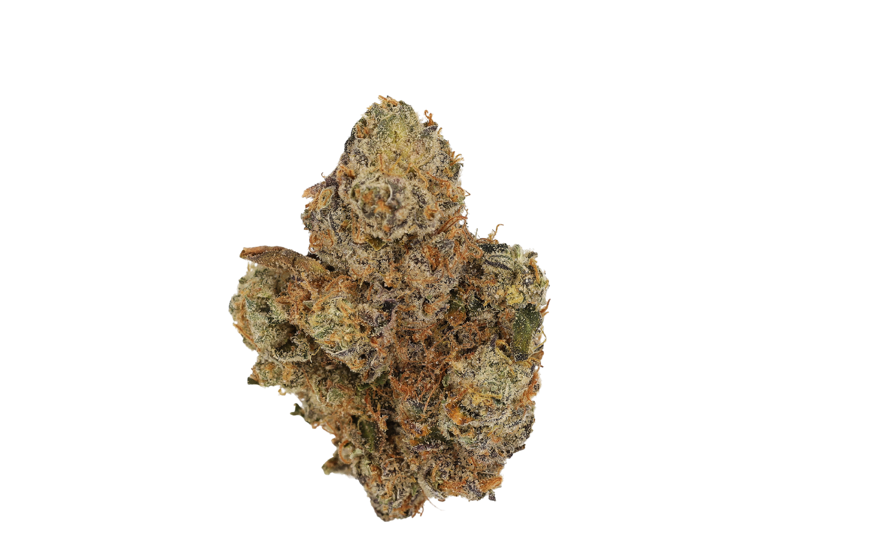 ⁠CM 30/1 CA Kokos Cookies